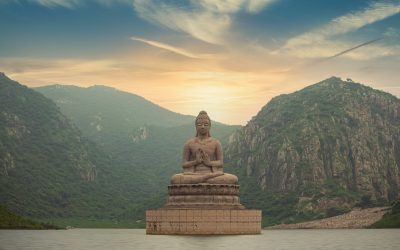 What to do with energy? Tips from a Naturopath and Acupuncturist in Alexandria and Redfern Sydney. 